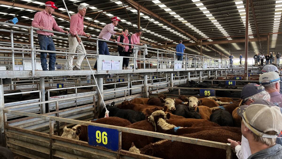The facility processed close to 100,000 cattle in 2022-23.