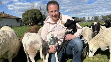 MEAT FOR ALL AGES: Hope-ta Harlequin Mini Meat Sheep stud principal Melissa Bell, Longwarry, Vic, has bred the small breed for five years.