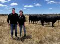 FRANCS: Angus stud principals Nick and Faye Franc, Carranballac, with some of the 18-month-old bulls set to be sold at the stud's March 4 sale. Mr Franc is a third-generation Angus breeder. The stud sells mainly to clients in the Ballarat district and is looking to expand its clientele base. Mr Franc said his cattle were easy doing, docile and came with well-balanced figures. The stud includes 140 breeders and was founded in 1953.