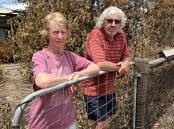 REBUILD: Far west Wimmera farmers Mary and Ken Frost, Poolaijelo, lost 600 first-cross ewes in the New Year's Eve fires.