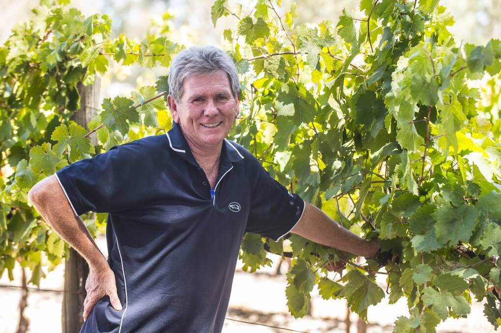 OPTIMISTIC OUTLOOK: Andrew Pike, Pikes Wines, Polish Hill River, is optimistic about this year’s grape vintage, which has started in the Clare Valley. 