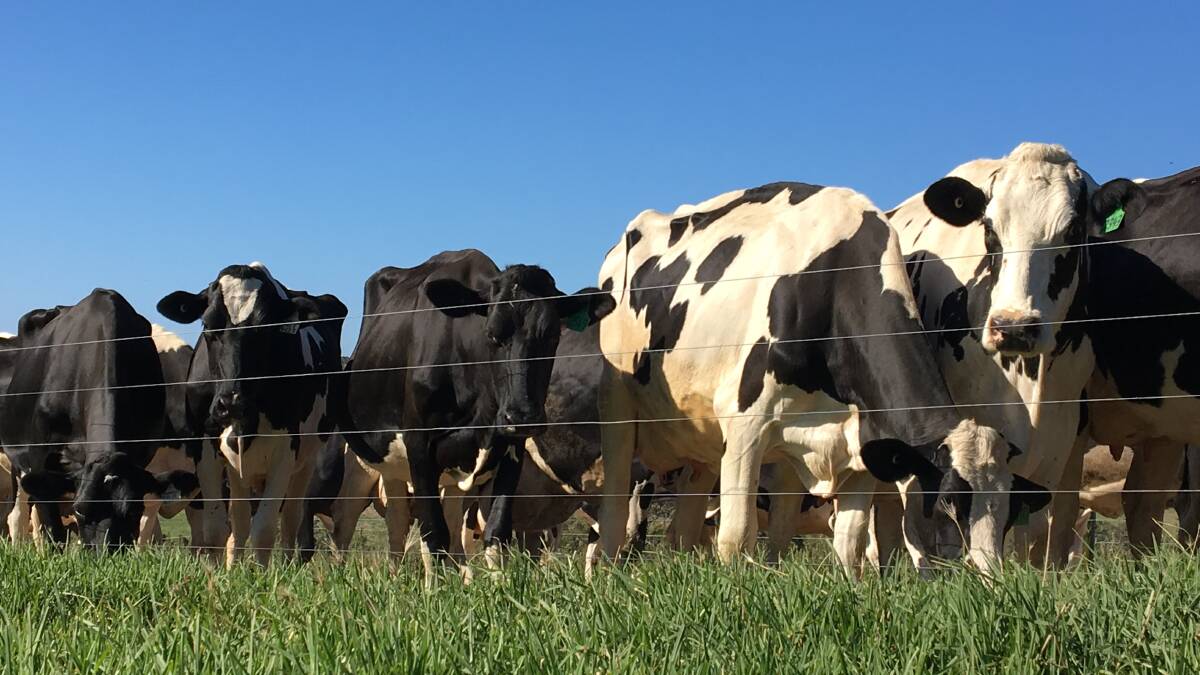 Dairy farmers to learn how to take the ‘scary’ out of change