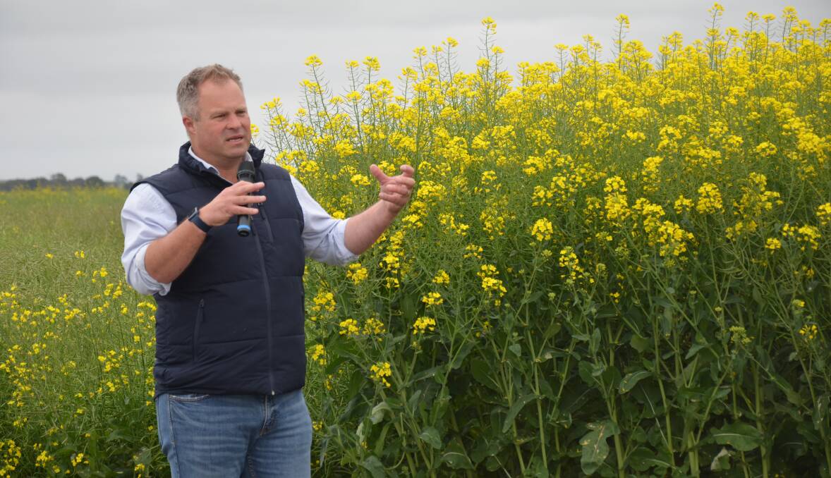 BIG DIFFERENCE: Agricultural Research on the Eyre Peninsula director and research agronomist Andrew Ware said canola yields could be depressed by up to 40 per cent in a sunlight-limited environment.