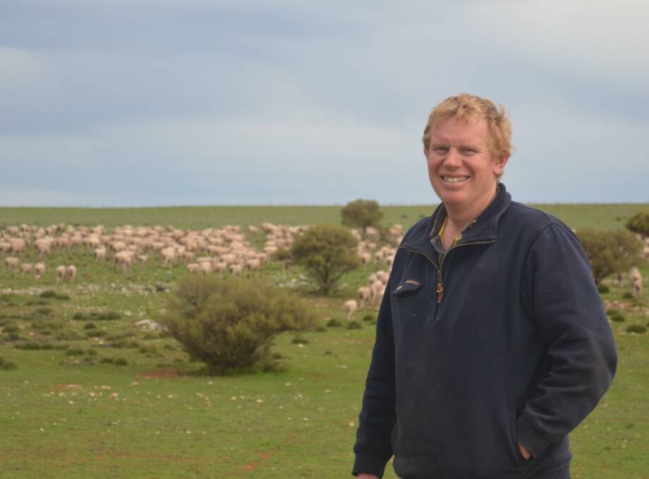 GOOD OPTION: Warramboo farmer Leon Veitch has been shearing twice a year for the past four years and said the frequency had many benefits.