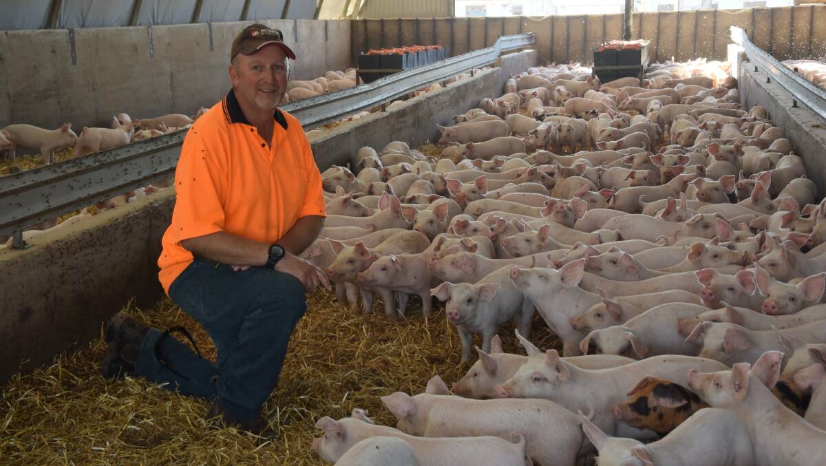 PAVING THE WAY: Edson Piggery owner Brett Edson is set to have a solar system installed on his property, with the piggery set to be one of the first in Australia to derive all its energy requirements from renewable energy.