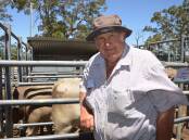 BUYING UP: Ray Kowald, Tailem Bend, was looking to buy young steers and heifers at the Mount Pleasant special store cattle sale on Thursday last week.
