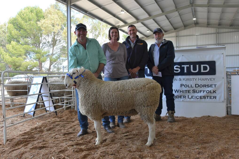 ELITE PURCHASE: Paxton's Martin and Kirsty Harvey, with Platinum Livestock's Adam Bradley, and PPHS's Robin Steen. Mr Bradley secured lot 1 (pictured) for $3200 on behalf of McPiggery, Lameroo.