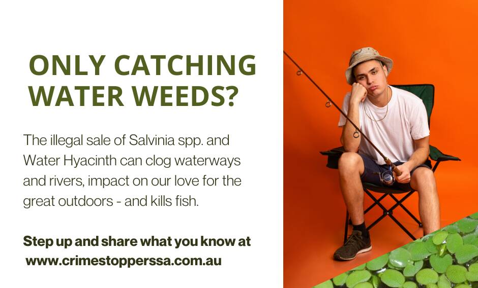 Crime Stoppers SA partners with PIRSA in fight against invasive weeds