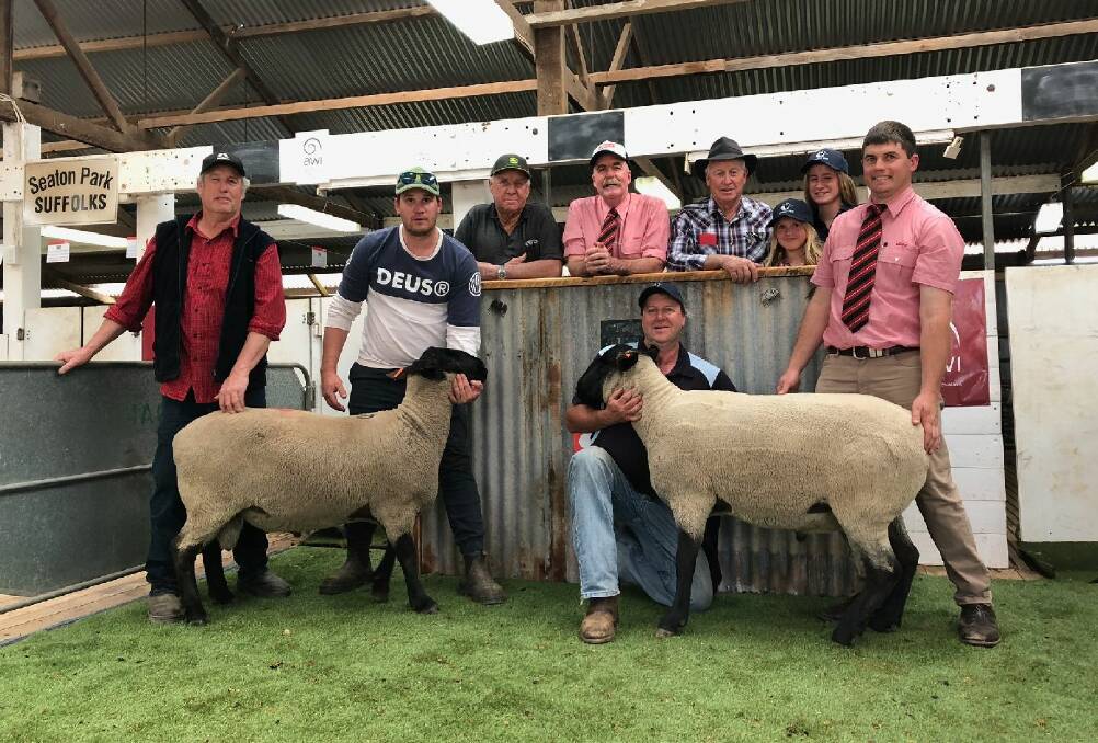 TOP SIRES: White Flat stud principals David and Jimmy Bascomb, buyer of the top price White Flat ram Donald Freeman, Elders' Tom Penna, Len Kelsh, who bought the top price Seaton Flat ram on behalf of Venus Plains, Port Kenny, Seaton Park's Chloe and Abby Bates, Elders' Adam Briese and (kneeling) Seaton Park stud principal Andrew Bates.