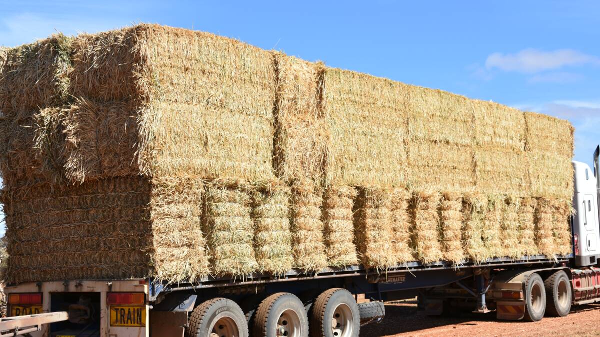 Hay delivery restrictions questioned by WA Ag Minister