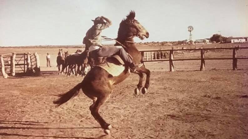 YEE-HA: Gordon, on horse Rajah, in 1974.
