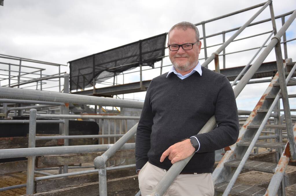 CLEAR DIRECTION: Wattle Range Council chief executive office Ben Gower is pleased there is a clear pathway forward for the Millicent saleyards.