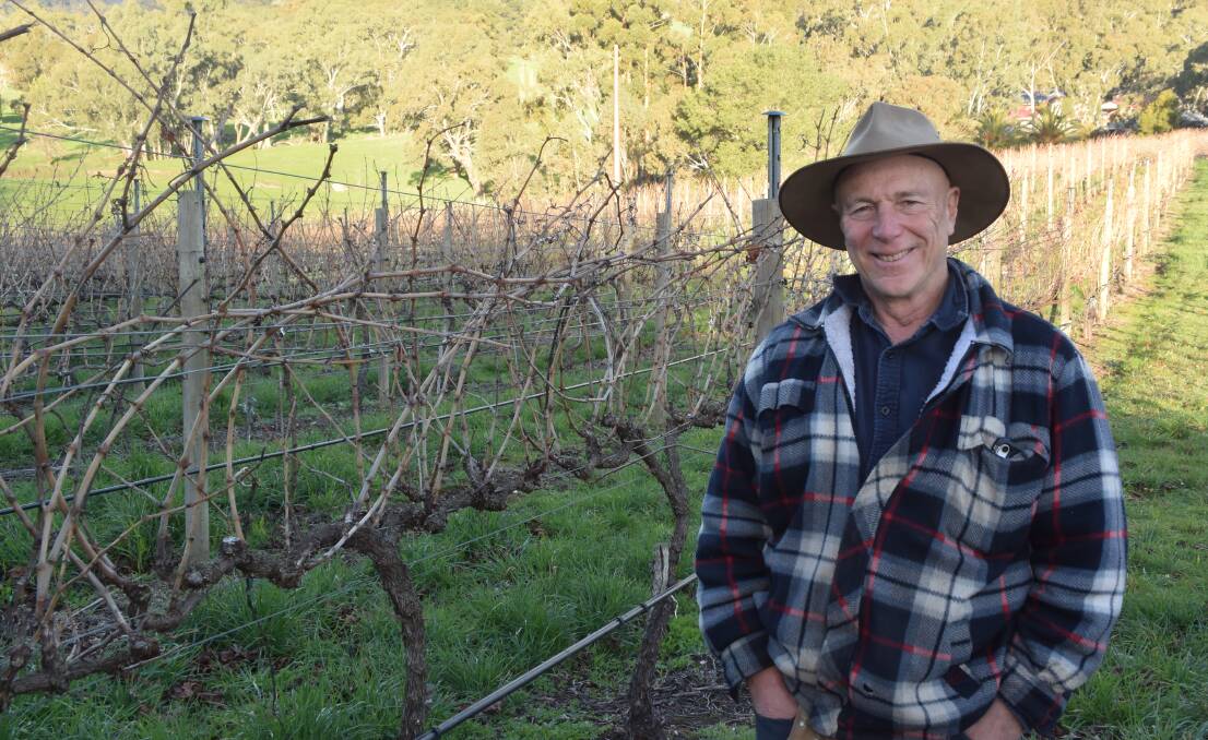 WEATHER HEADACHES: Hahndorf Hill Winery co-owner Larry Jacobs said it had been a tough season for growers, but the good quality of the harvest had grapegrowers "dancing for joy".