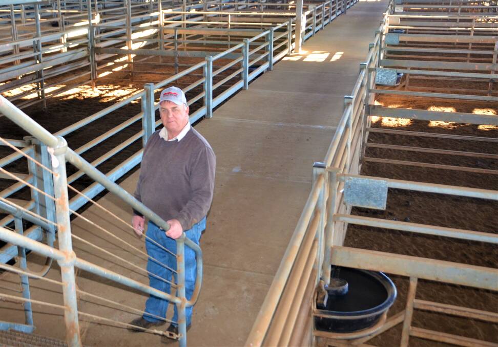 NUMBERS FALL: Dublin saleyards manager Andrew Lepley said the decision to hold the cattle and sheep markets on Tuesday was due to decreased yardings, but he hoped the new system would increase support for the market.
