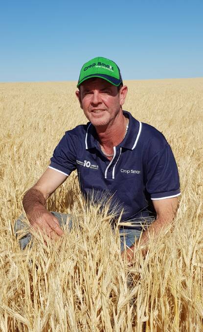 Aaron Oakley, CropSmart Pinarroo, in a Compass barley crop.