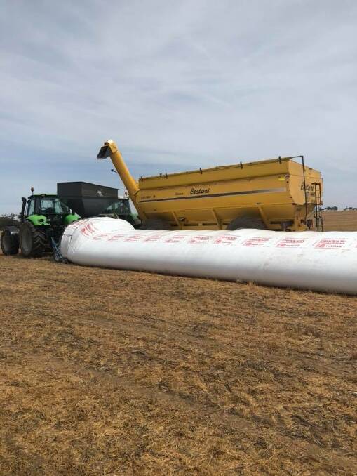 ON-FARM STORAGE: A Richiger Inloader in the paddock during last year’s harvest, loading lentils into a 340-tonne capacity silo bag. The Corrells use bags to store all of their lentils on-farm during harvest. 