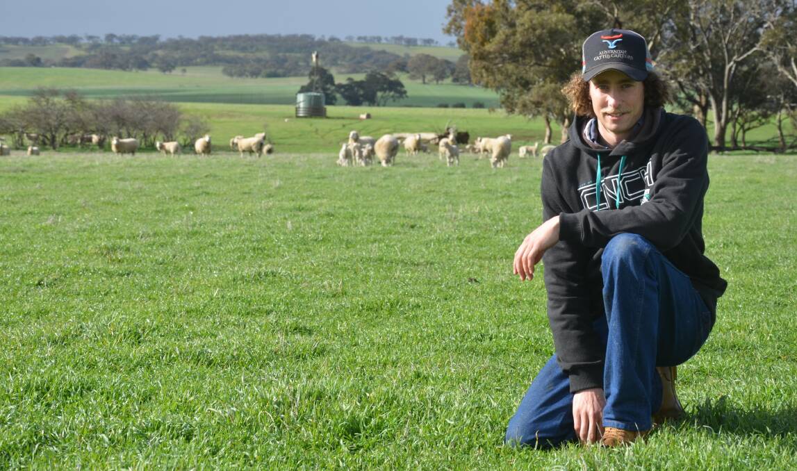 EXCITING FUTURE: Charles Rowett, Marrabel, has been involved in his parents Ulandi Park Poll Dorset stud all his life, and is passionate about his North Ulandi White Suffolk stud, which he began a few years ago.