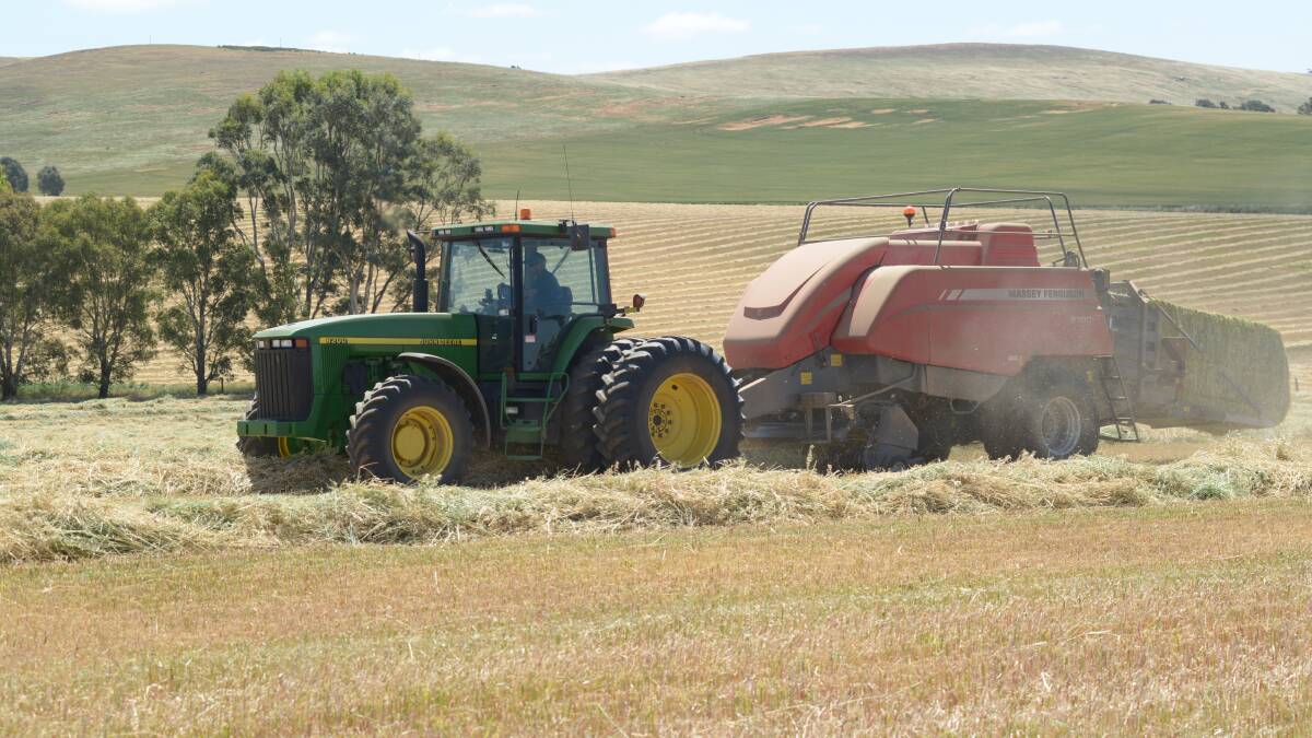 State fodder cut rises but yield remains low