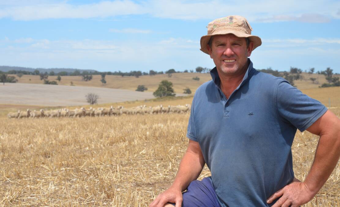 REBUILDING: Pastoralist Keith Slade, pictured on his Murray Town property, expected many pastoralists to rebuild numbers from their own stock.