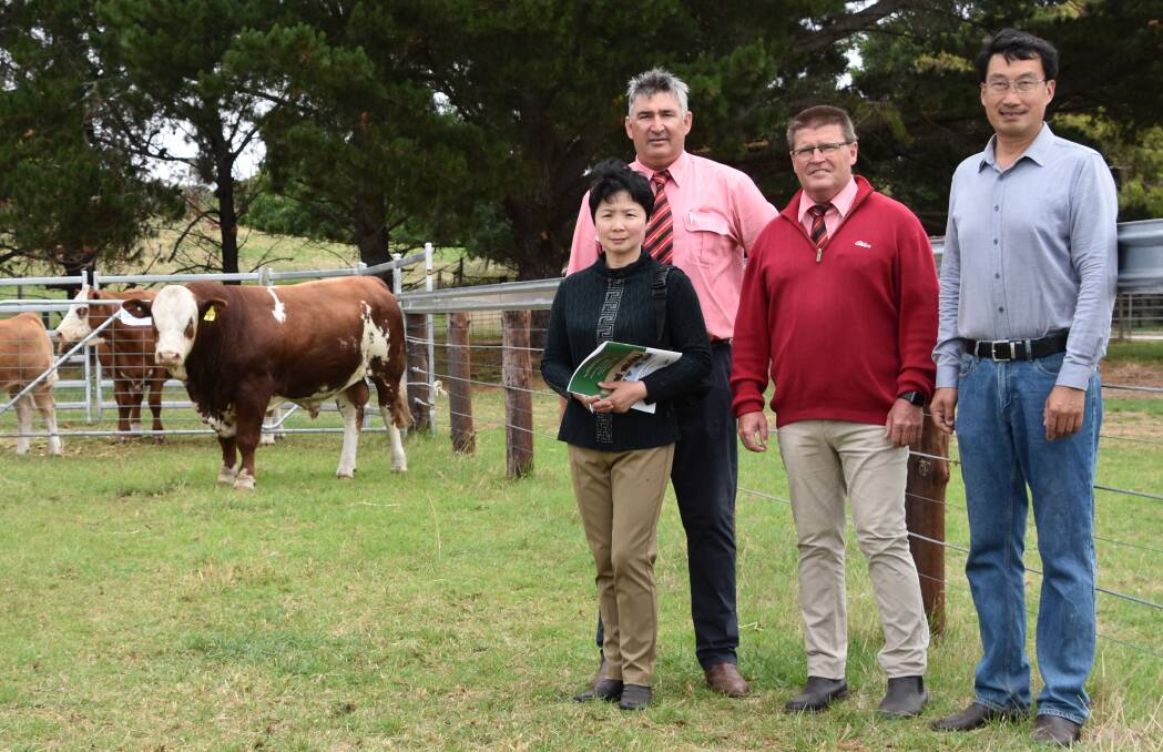 VIC-BOUND: Elders auctioneer Laryn Gogel (back) and Elders stud stock's Tony Wetherall (centre) with Lakeside principals Lily Xu and Dong Zhu and the $10,000 top price bull Lakeside Park P139.