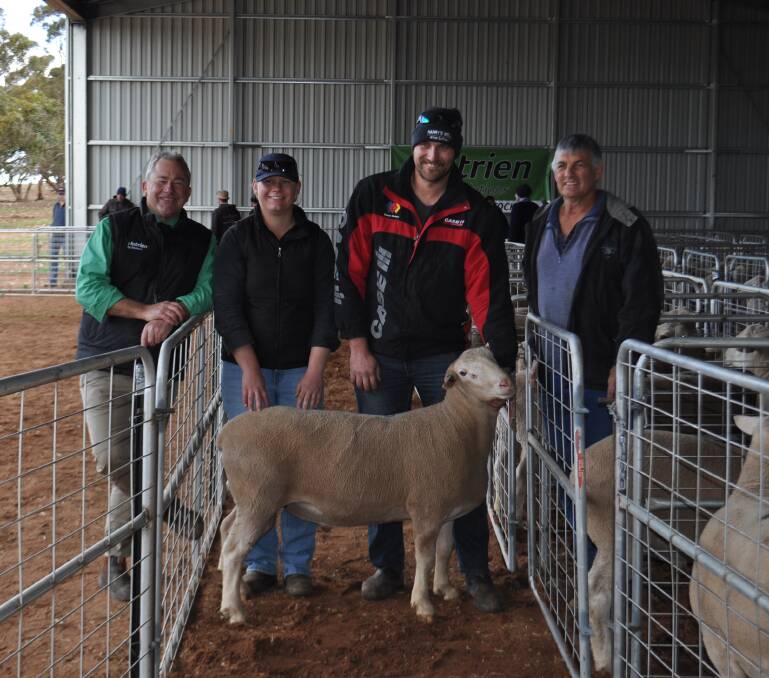 TOP BUYER: Curly Golding, Golding Livestock, Loxton; Dora Blieschke, farmhand with Brian Hampel, Nadda, holding one of their top price ram purchases, and Harry's Well stud principal Kenton Farr.