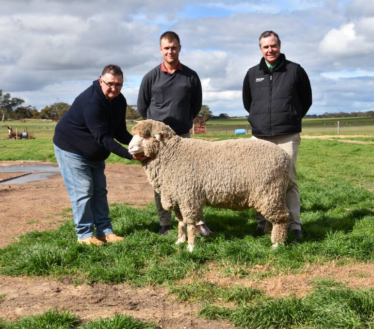VIC BOUND: Callowie stud principals Richard and Angus Halliday with the $4600 top price ram and Nutrien stud stock auctioneer Richard Miller.