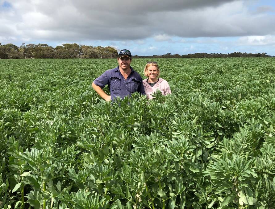 BUMPER BEANS: Parndana East croppers Michael and Tracy Mills, Carimar, in broad beans, which Mr Mills said would have benefited from more moisture but would still be "OK" this harvest.
