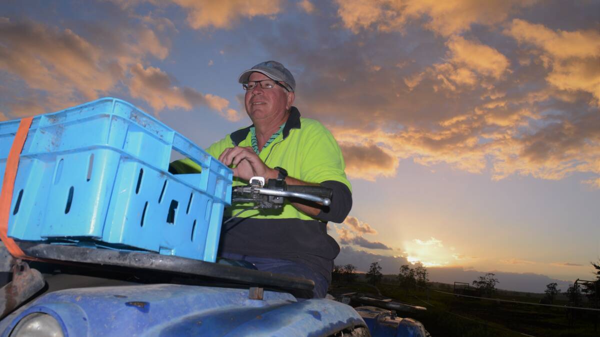 
It's 5.30am on Belmore River near Kempsey on NSW Mid North Coast and dairy farmer Brett McGinn, who supplies Norco, is starting his day. Photo: Samantha Townsend