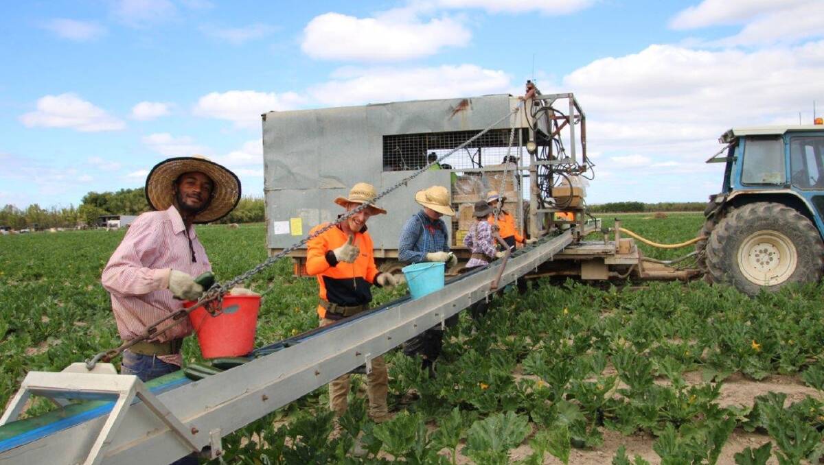 Farm jobs western australia perth