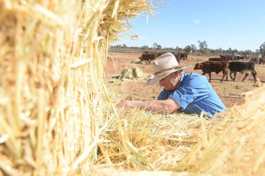Desperate drought highlights need for national strategy