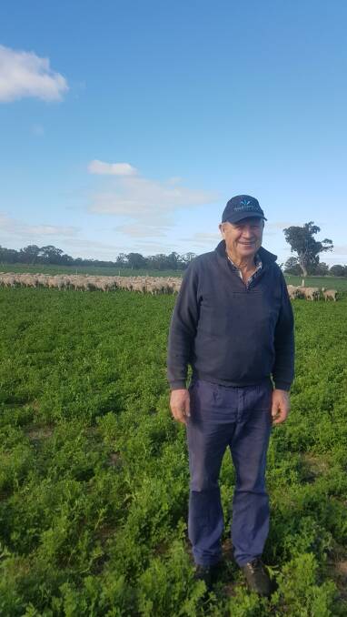 Greg Ryan uses irrigated lucerne for high-value ewe and lamb feed and harvests the seed for marketing.