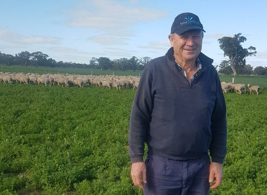 NUTRITION: Greg Ryan, Bordertown, uses irrigated lucerne for grazing to optimise ewe and lamb performance and then harvests the pasture seed.