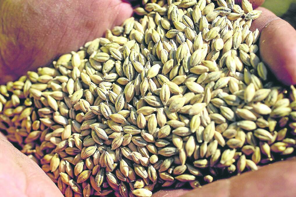 Some eastern seaboard growers are worried about grain quality if conditions are wet in the coming few weeks.