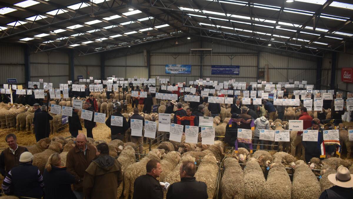 CANCELLED: Sheepvention at Hamilton (pictured) and the Australian Sheep & Wool Show in Bendigo have been cancelled for this year.