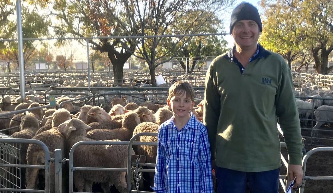 SHEEP FOR SALE: David and Darcy Langford, K-Tank Station, via Broken Hill, NSW, at last week's Ouyen sheep market.