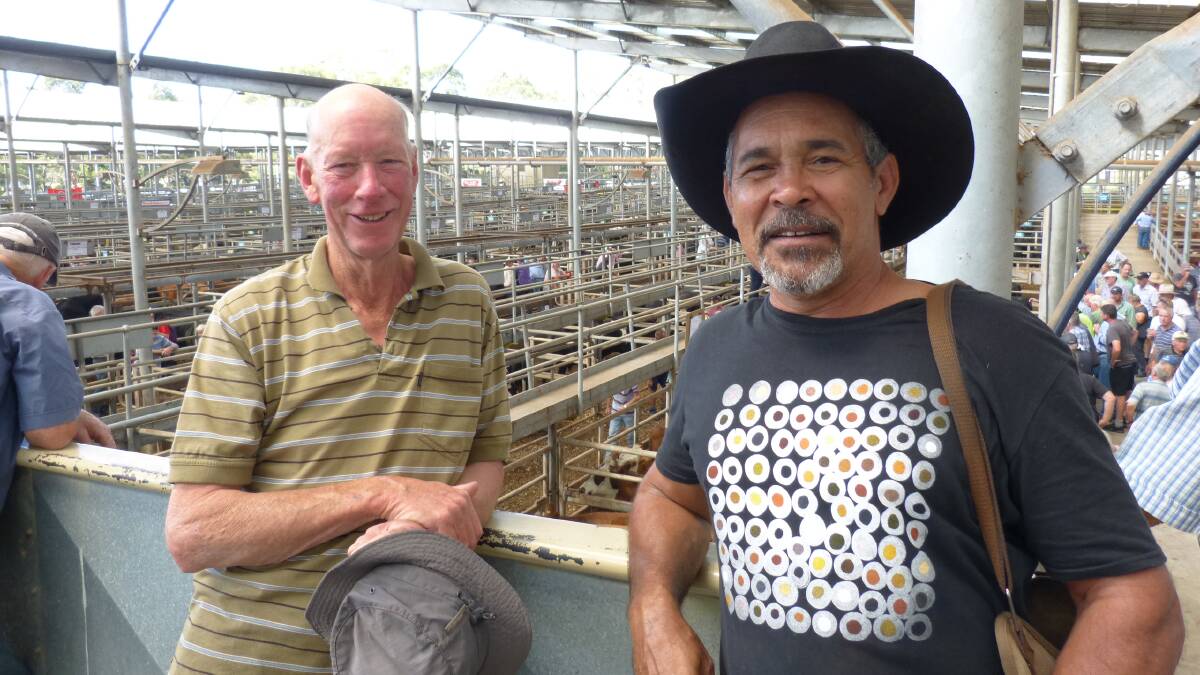 WATCHFUL EYES: Bill Bray, Walkerville, and Pat Davies, down from Fitzroy Crossing, WA, looked over cattle at Leongatha. Photo by Peter Kostos.