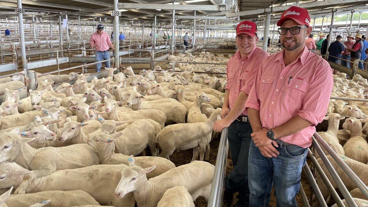 Jacob Kerrisk and Michael Coggan, Elders, whose client JT and SG Walker, Yass, NSW, sold the top-priced pen for $100 at Yass last week. Picture supplied
