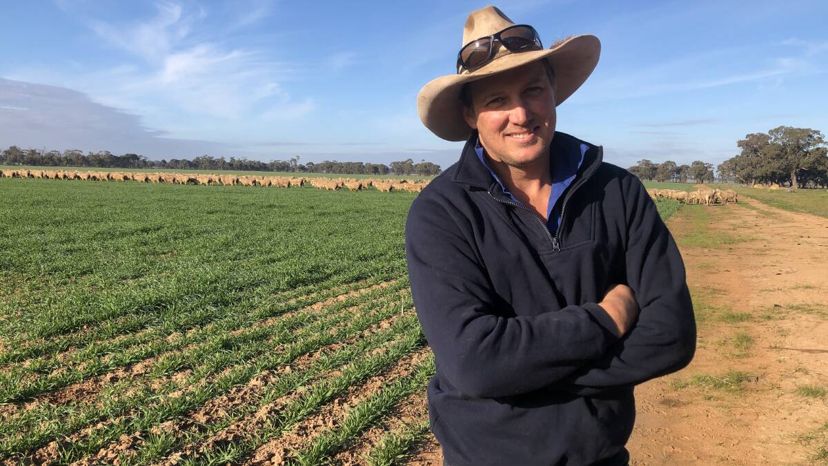 IN LAMB: Raywood, Vic, wool grower Dusty Pascoe in front of some of his 12 month-old in-lamb Merino ewes. Mr Pascoe is tossing up whether to sell part of his clip this week or hold onto it.