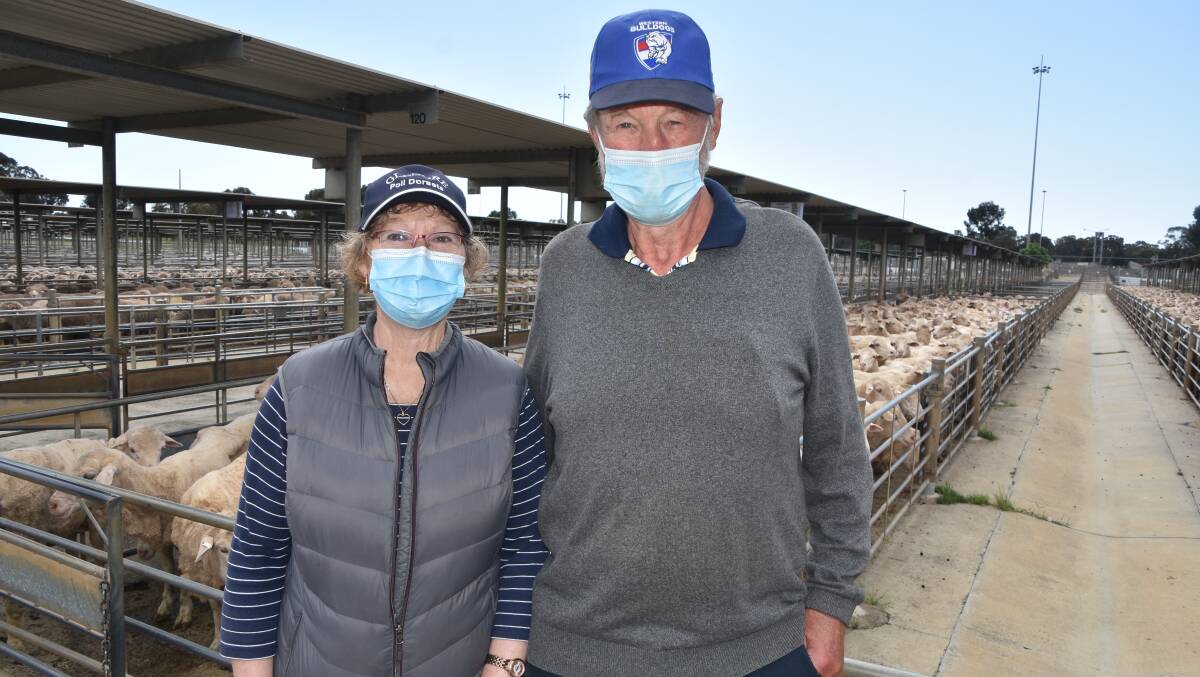 INSPECTING: Dianne Williams and Max Davis, Sutton Grange, were looking to buy young ewes at Bendigo to join with Border Leicester rams.