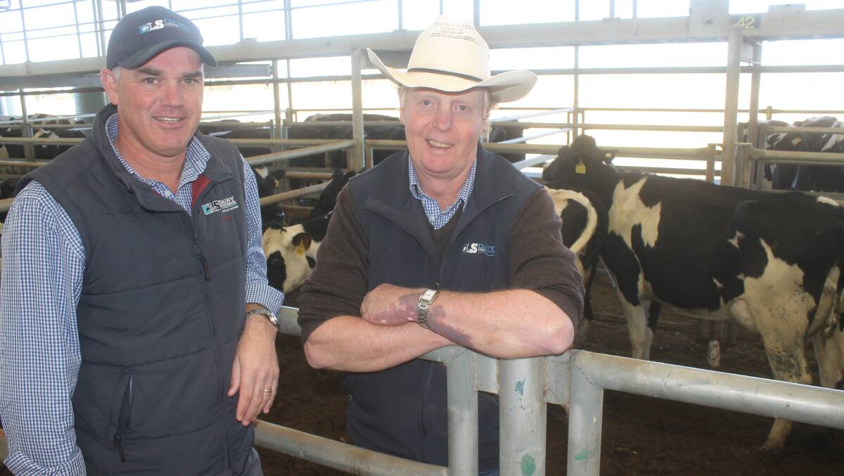 RISING SALES: Dairy Livestock Services manager Scott Lord with auctioneer Brian Leslie, who has seen an increase in the number of dairy herds culled because of seasonal and market conditions.