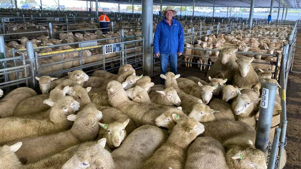 SALE-O: Noel Cheney, Elders Rural Services, pictured with a pen of 58 lambs that sold for $230 a head at Carcoar, NSW, last week.