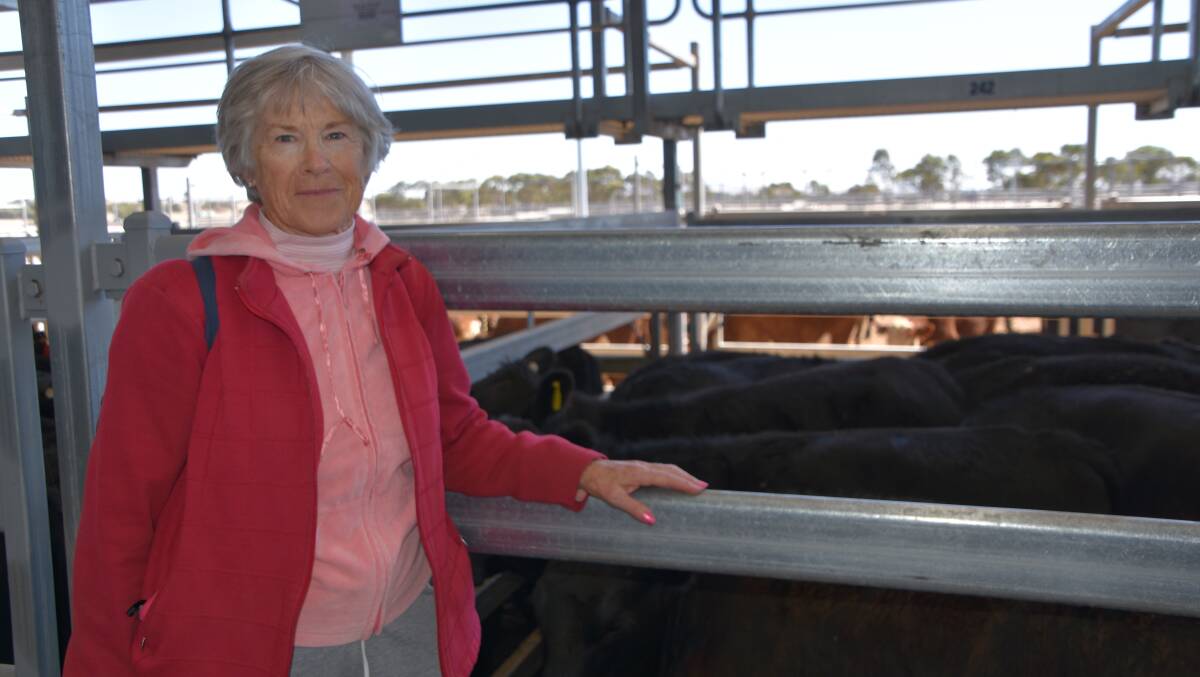 Judy Norman, Clarkes Hill, Ballarat, sold heifers to 239c/kg at Ballarat recently. Photo by Lily Namdar.