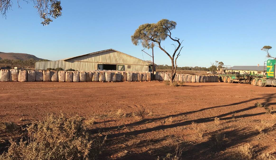 LOADING UP: Despite the dry conditions, prices for the Morris family's 400-bale wool clip from Yardea and Thurlga stations reached highs of $2816 a bale. 