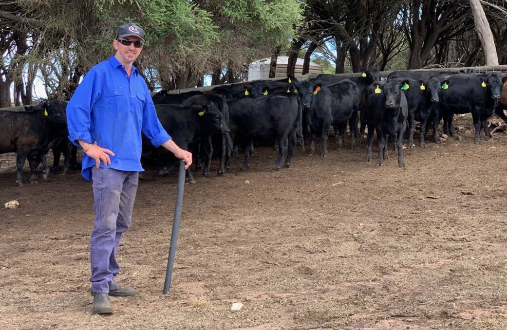 STRONG DEMAND: Since making the change to a pure Angus herd, Nick Ellis and his family, Roseneath, Rendelsham, are enjoying the range of new marketing opportunities which have opened up for their cattle operation.