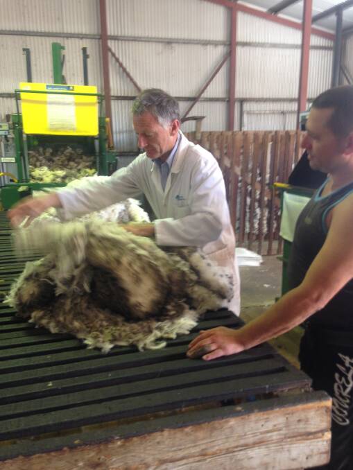 PRICE FLUCTUATIONS: Australian Wool Network SA state manager Rod Miller classes wool with Simon Wheaton, Redbanks, Kangaroo Island.