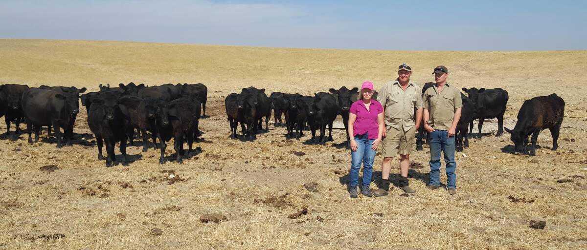 STRONG DEMAND: Deb, Anthony and Ben Lock run 550 Angus breeders across a spread of properties in the Mallee and on the Fleurieu Peninsula in SA, marketing their weaners through AuctionsPlus three times a year.