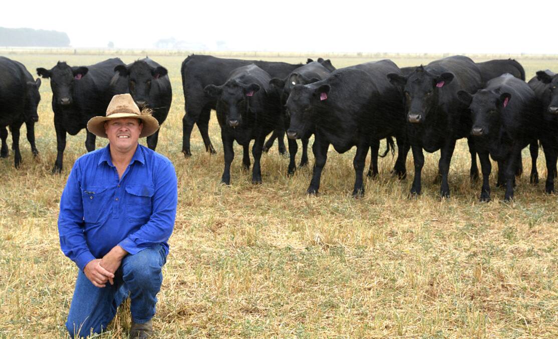 FEMALE FOCUS: Chris Rains has been using Pathfinder bulls for the past six years, with fertility and growth a priority for the Yellowie Station herd.