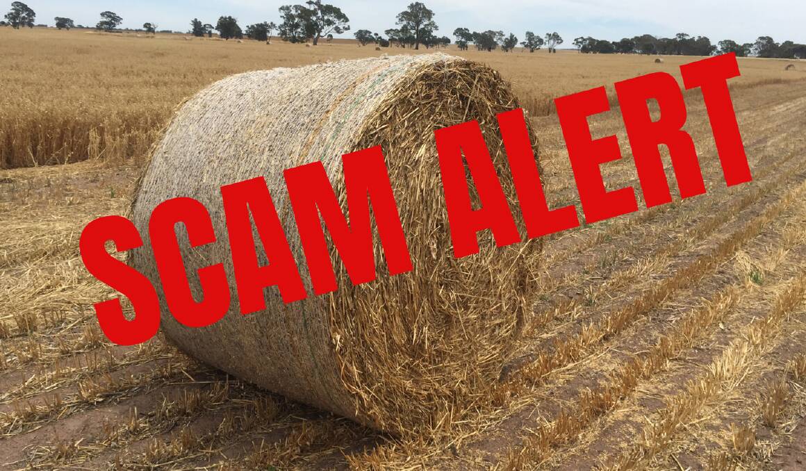 Police pounce on hay scams
