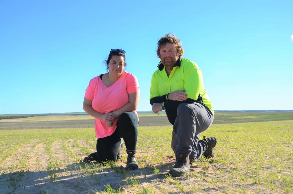 TOUGH CONDITIONS: Croppers Erin and Jeremy Calliss, Arno Bay, have been dealt another difficult season, but crops are hanging on despite the lack of rainfall. 