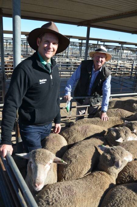 SALE SURGE: Nutrien Ag Solutions Riverton/Gawler territory manager Glen Keast and Australian Lamb Company's buyer Peter Wood at the SA Livestock exchange at Dublin this week. 